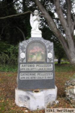 Antonio Pellizzer