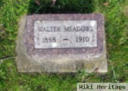 Walter Meadows