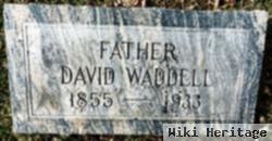 David Waddell