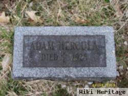 Adam Hercula