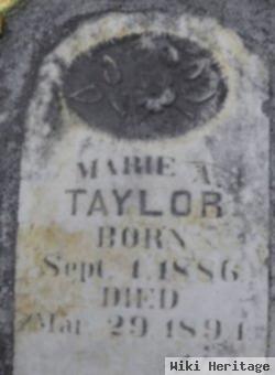 Marie A Taylor