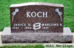 Janice D Koch