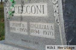 Joseph A Cecconi