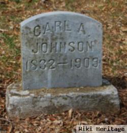 Carl A Johnson