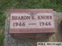 Sharon Kay Knorr