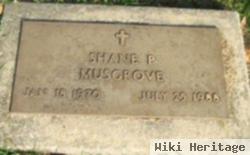 Shane P Musgrove