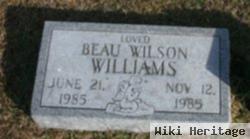 Beau Wilson Williams