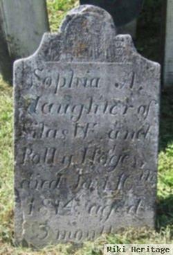 Sophia A. Hodges