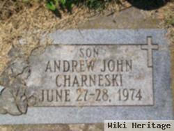 Andrew John Charneski