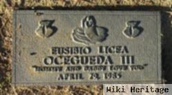 Eusibio Licea Ocegueda, Iii