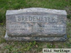 Esther A. Bredemeyer