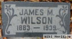 James Monroe Wilson