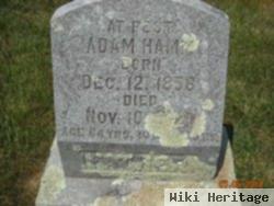 Adam Hamm