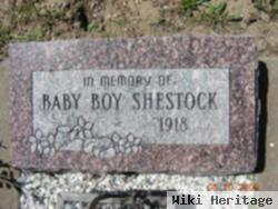 Baby Shestock