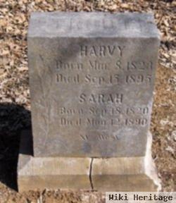 Sarah A. Davis Trout