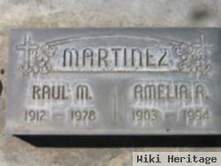 Raul Mendivil Martinez