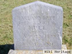 Harland Hoyt Hull