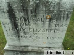 Mary Elizabeth Switzer Sauers