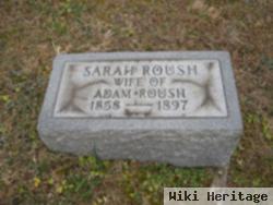 Sarah Elizabeth Scholl Roush