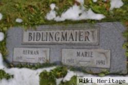 Herman Bidlingmaier