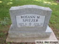 Rosann M Willke Spitzer