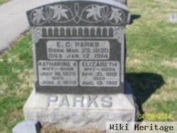 Katharine A. Parks