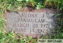 Anthony J Panikulam