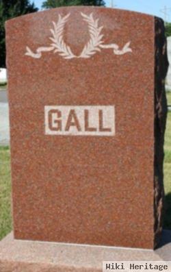 Theodore M Gall