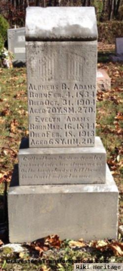 Alpheus B Adams