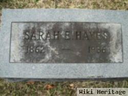 Sarah Ellen Priddy Hayes