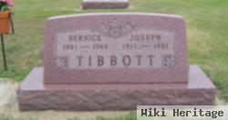 Bernice Aldora Hankins Tibbott