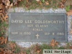 David Lee Goldsworthy