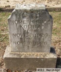 Homer Bruce Koliba