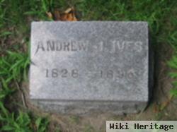 Andrew J Ives