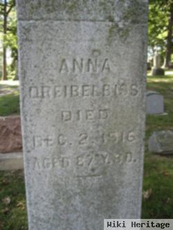 Anna Dreibelbiss