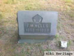 F M Wells