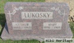 Mary Janos Lukosky