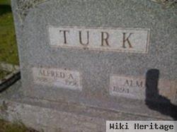 Alma L Hedberg Turk