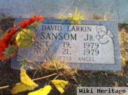 David Larkin Sansom