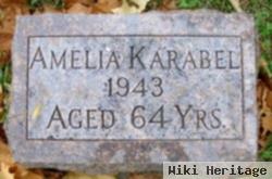 Amelia Warnke Karabel