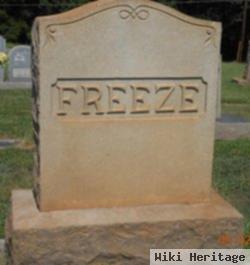 Annie Elizabeth Collins Loften Freeze