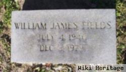 William James Fields