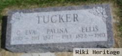 C Eva Tucker