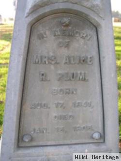 Alice R Plum