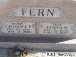 Joseph M Fern