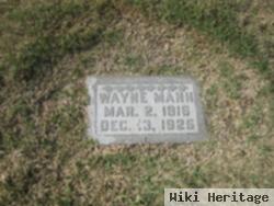 Wayne Mann