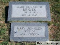 Mary Elizabeth Reaves Johnson