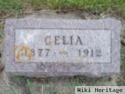 Celia Peterson