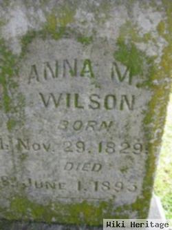 Anna M Wilson