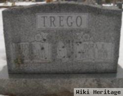 Dora Ellen Hawk Trego